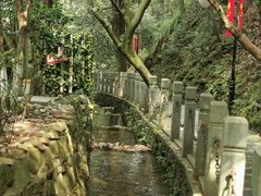 -十八棵（老龙井）御茶园(老龙井店)