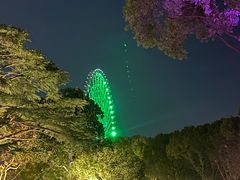 -君来湖滨饭店·玫瑰园