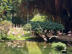 -九龙公园