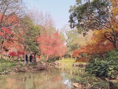 -秋霞圃