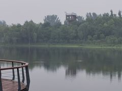-东郊湿地公园