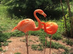 -青岛森林野生动物世界