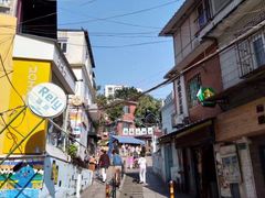 -猫咪博物馆(顶澳仔猫街店)