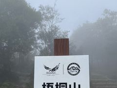 -梧桐山风景名胜区