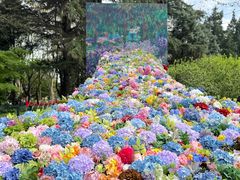 -上海共青森林公园