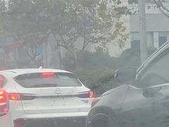 -上海绿地东一汽马自达4S店(彭浦新村店)