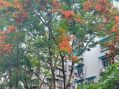 -晓港公园