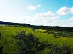 -塞罕坝国家级自然保护区