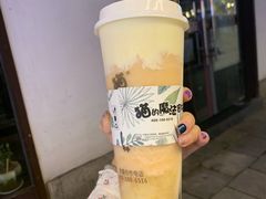 -猫的魔法密林(衣裳街店)