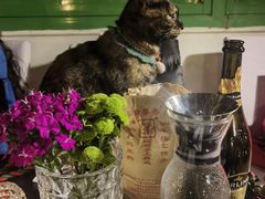 -EATALIA意塔利意式餐厅(鼓楼店)