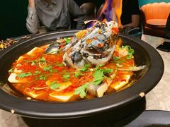 黄晓猫剁椒鱼头-黄晓猫剁椒大鱼头(海岸城店)