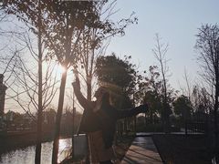 -柳鹭田园区
