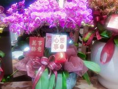 -溪岸路花鸟市场