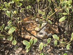 -华东政法大学(松江校区)