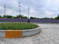 -菊园百果园