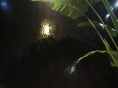 -肴约·花园式餐厅(湖里店)