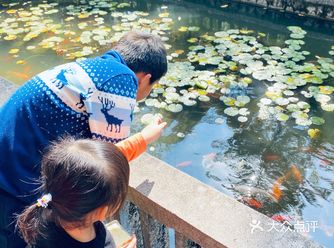 带上三周岁的宝宝去刚好可以满足她。动物有