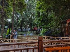 -二荆条·蜀鲜汇城市森林火锅