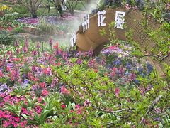 -苏州上方山国家森林公园