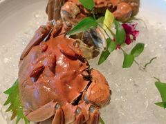 -蟹榭·本帮江浙菜·蟹宴(五角场合生汇商场店)