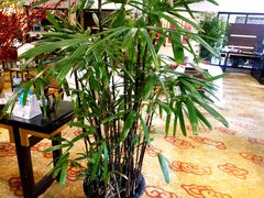 -杭州香格里拉·香宫中餐厅