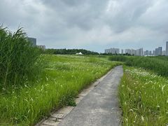 -洋湖国家湿地公园