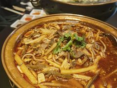 红汤羊杂-蒙料·手把肉(望京店)