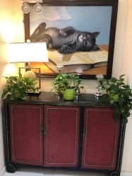 -咪咪比基尼脱毛专业店