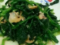 菠菜拌毛蚬肉-小船渔村•大连菜•大连焖鱼(明泽街店)