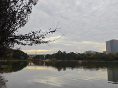 -美兰湖景区