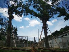 -太湖龙之梦