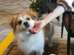 -杂咖zacup(领展中心城店)