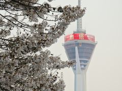 -红星桥(地铁站)