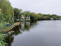 -溱湖国家湿地公园