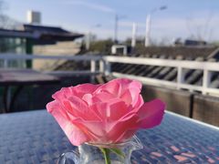 -EATALIA意塔利意式餐厅(鼓楼店)