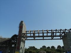 -塘沽森林公园