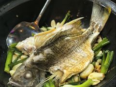 -阳江餐厅·30年老字号·粤菜海鲜大排档