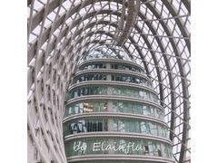 -凤凰中心