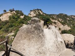 -大岭沟猕猴桃谷风景区