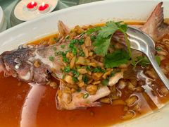 -皇朝尊会(龙之梦大酒店)