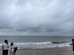 -日照海滨国家森林公园