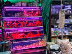 -西宁市人民公园(城西区)