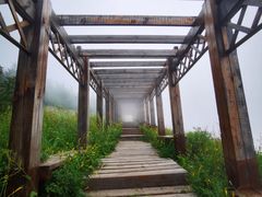 -白草畔自然风景区