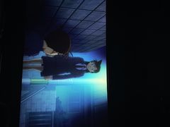 -沃美影城焕影岛LED/中国巨幕(万象汇店)