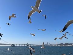 -星海广场