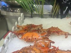 -吃货码头自助餐厅(天悦城店)