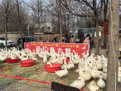 -辛庄国际文化艺术区