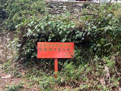 -寂照庵