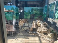 -昆明动物园