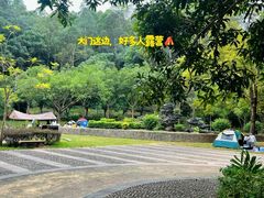 -滴水岩森林公园